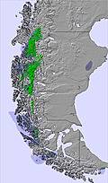 Southern Andes snow forecast for this period