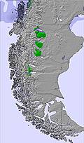 Southern Andes snow forecast for this period