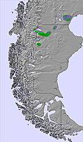Southern Andes snow forecast for this period