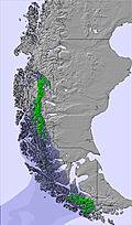 Southern Andes snow forecast for this period