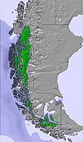 Southern Andes snow forecast for this period
