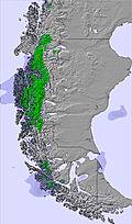 Southern Andes snow forecast for this period
