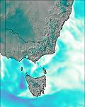 Australia - all SE wind forecast for this period