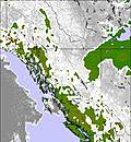 West Canada cloud forecast for this period