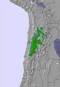 Bolivia snow forecast for this period