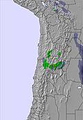 Bolivia snow forecast for this period