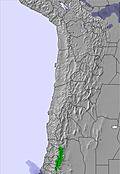 Bolivia snow forecast for this period