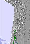 Bolivia snow forecast for this period