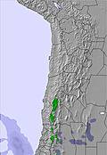 Bolivia snow forecast for this period