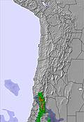 Bolivia snow forecast for this period