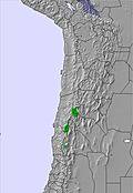 Bolivia snow forecast for this period