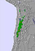 Bolivia snow forecast for this period