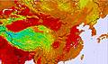 China temperature forecast for this period