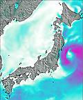 Japan wind forecast for this period