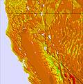 North California temperature forecast for this period
