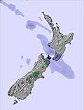 All New Zealand snow forecast for this period