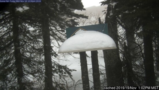 Whitefish Mountain Resort