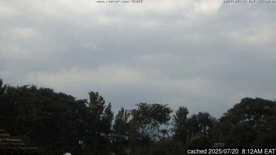 Mount Kilimanjaro için canlı kar webcam