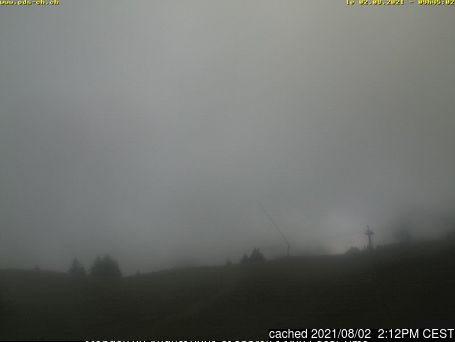 Morgins