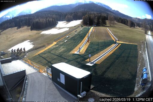Puchberg am Schneeberg/Salamander