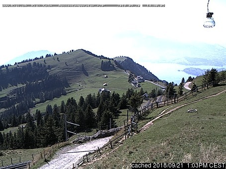 Rigi