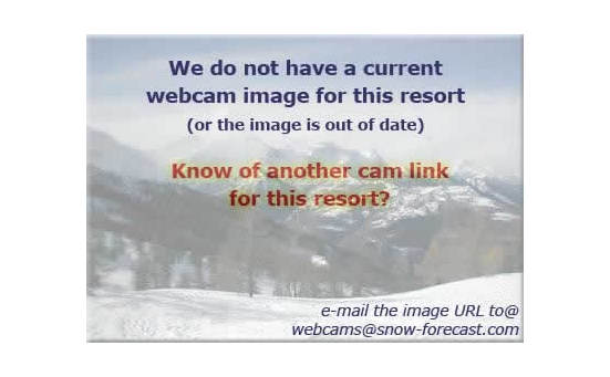 Alta Sierra At Shirley Meadows Webcam Showing Current Snow Conditions