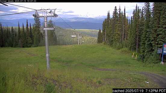 Webcam en vivo para SilverStar