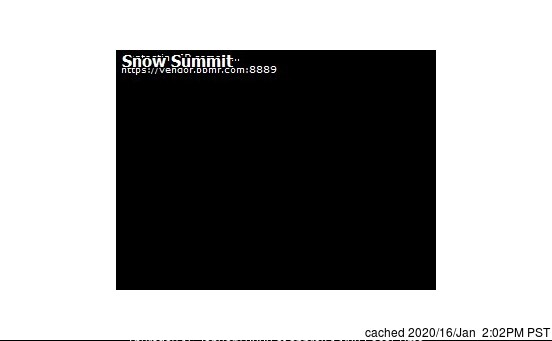 Snow Summit
