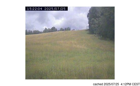 Live Snow webcam for Zdobnice