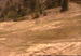 Big Bear Mountain webcam