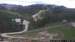 Vogel webcam