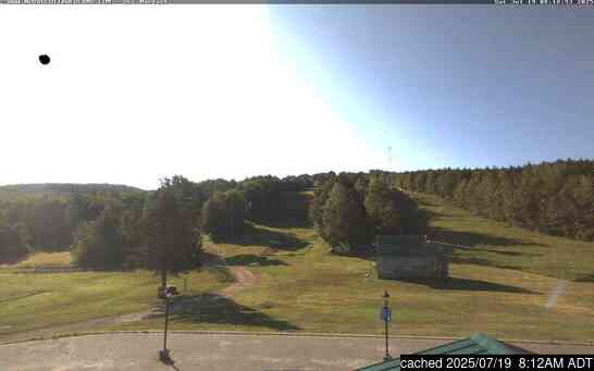 Webcam Live pour Ski Martock